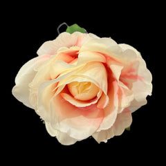 Rose Damascena