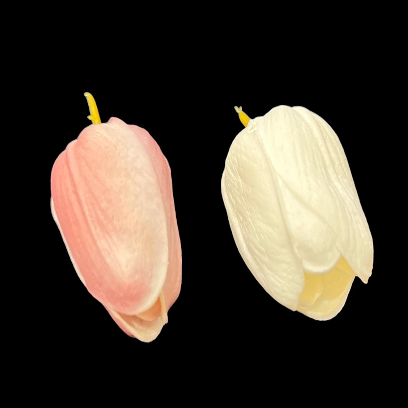 Lotus Buds